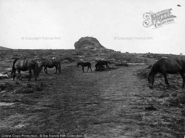 Photo of Dartmoor, Dartmoor Ponies At Haytor 1927