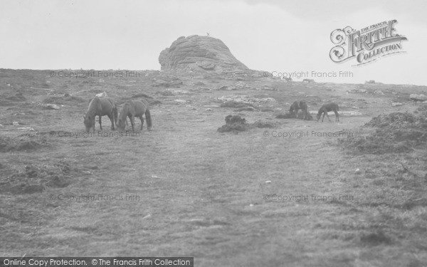 Photo of Dartmoor, Dartmoor Ponies At Haytor 1927