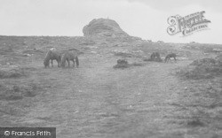 Dartmoor Ponies At Haytor 1927, Dartmoor