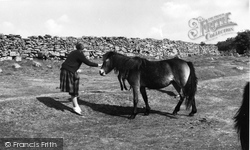 Dartmoor Ponies c.1960, Dartmoor
