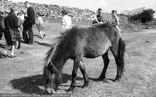 Photo of Dartmoor, Dartmoor Ponies c.1960