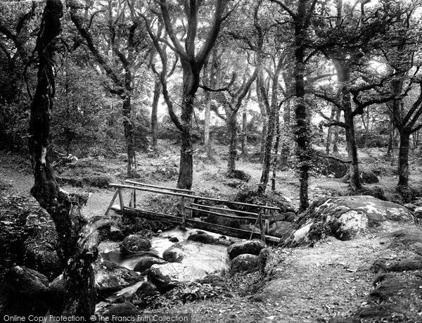 Photo of Dartmoor, Footbridge, Becky Falls 1922