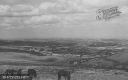 Moorland Ponies c.1950, Dartmoor