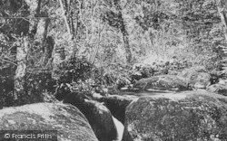 On The Stream Below Becky Falls c.1869, Dartmoor