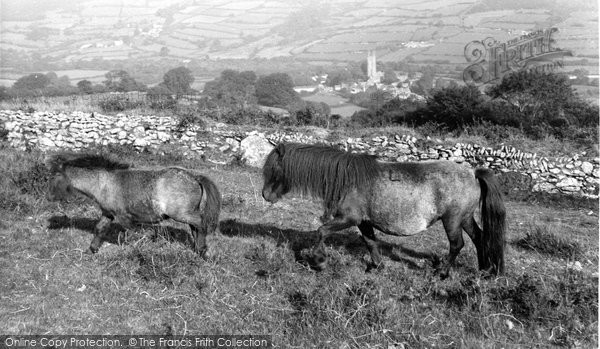 Photo of Dartmoor, Ponies c.1965