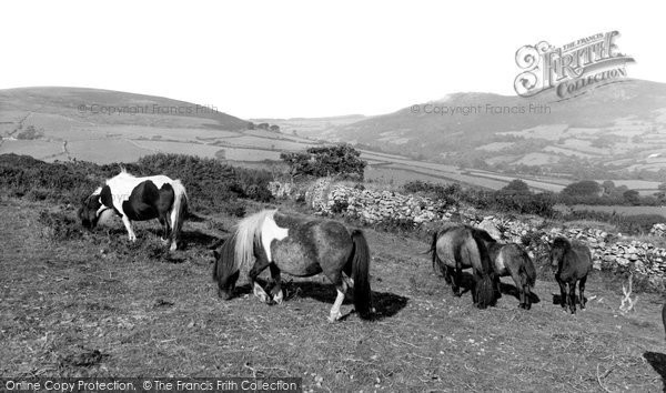 Photo of Dartmoor, Ponies c.1965