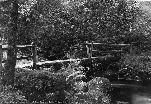 Photo of Dartmoor, Rustic Bridge Above Becky Falls c.1869