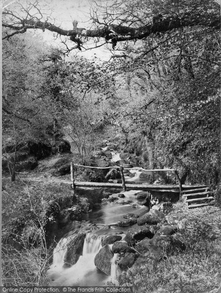 Photo of Dartmoor, Rustic Bridge c.1885