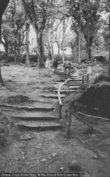 Photo of Dartmoor, Rustic Steps, Becky Falls c.1955