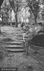 Rustic Steps, Becky Falls c.1955, Dartmoor