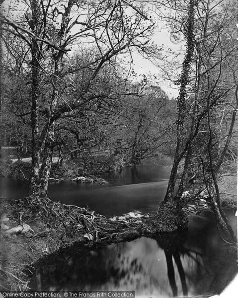 Photo of Dartmoor, The Plym c.1876