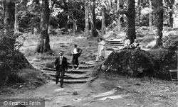 The Steps To Becky Falls c.1955, Dartmoor