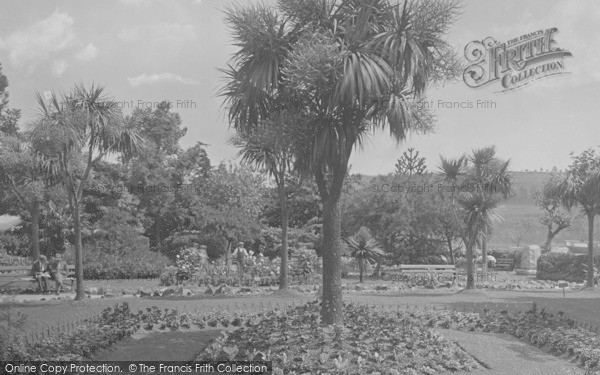 Photo of Dartmouth, Palms In Gardens 1931