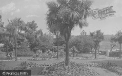 Palms In Gardens 1931, Dartmouth