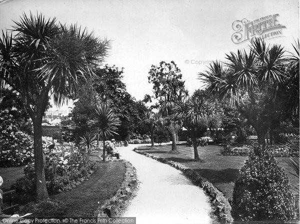 Photo of Dartmouth, Palms In Gardens 1931