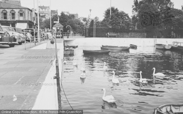 Photo of Dartmouth, Swans In The Harbour 1955