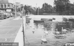 Swans In The Harbour 1955, Dartmouth