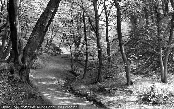 Photo of Darwen, Sunnyhurst Wood c.1950