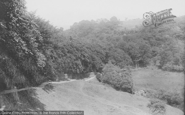 Photo of Darwen, Sunnyhurst Woods 1895