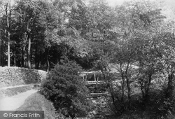 Sunnyhurst Woods 1895, Darwen