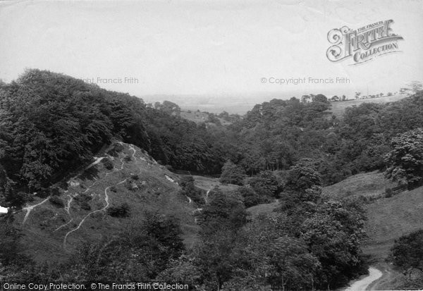 Photo of Darwen, Sunnyhurst Woods From The Embankment 1895