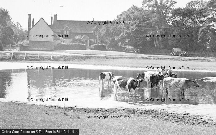 Photo of Datchworth, The Pond And Mardleybury Manor c.1955