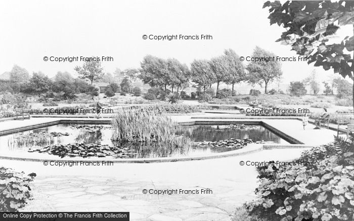 Photo of Davyhulme, Park, The Lily Pond c.1955