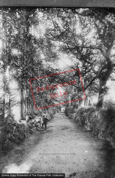 Photo of Dawlish, Barton Lane 1906