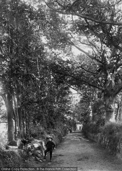 Photo of Dawlish, Barton Road 1906