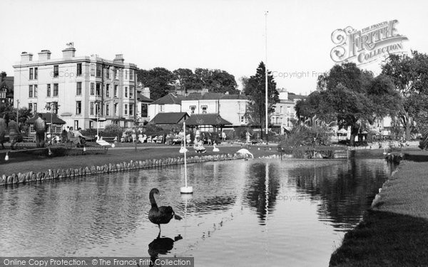 Photo of Dawlish, Black Swan In The Gardens c.1955