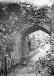 Bridge 1869, Dawlish