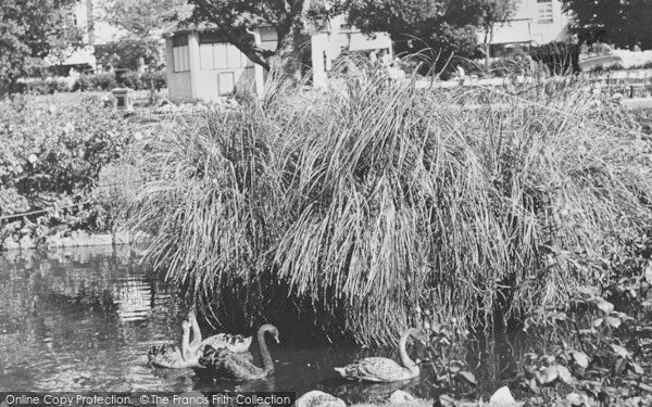 Photo of Dawlish, The Black Swans c.1960