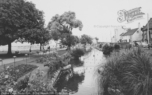 Photo of Dawlish, The River And Gardens c.1960