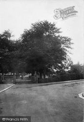 Victoria Park 1914, Deal