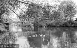 The River c.1965, Dedham
