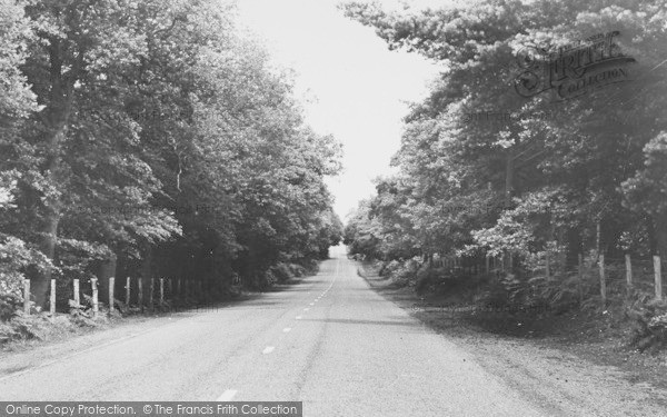 Photo of Delamere, Delamere Forest c.1955