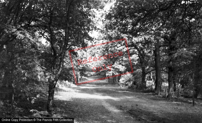Photo of Delamere, Forest c.1955