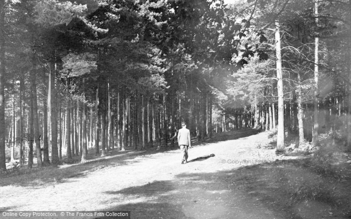 Photo of Delamere, The Forest c.1955