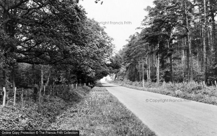 Photo of Denmead, Creech Woods c.1960