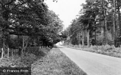 Creech Woods c.1960, Denmead