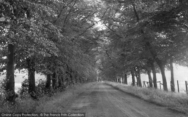 Photo of Denton, The Avenue c.1955