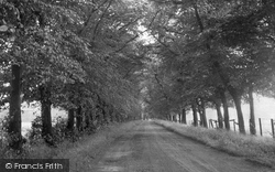 The Avenue c.1955, Denton