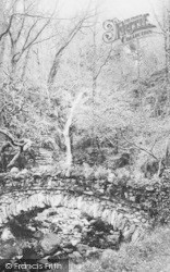Barrow Falls And Bridge 1889, Derwent Water