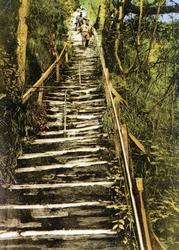 Jacob's Ladder c.1955, Devil's Bridge
