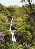 Mynach Falls c.1955, Devil's Bridge