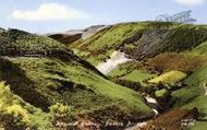 Rheidol Valley c.1960, Devil's Bridge