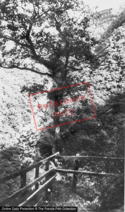 Photo of Devil's Bridge, The Falls c.1960