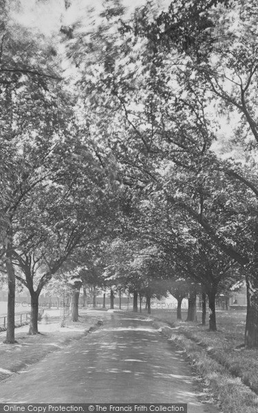 Photo of Devonport, Cricket Field Avenue 1924