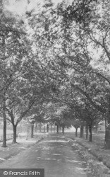 Cricket Field Avenue 1924, Devonport