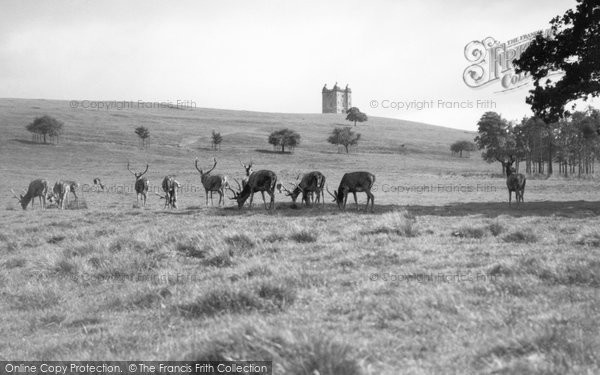 Photo of Disley, Lyme Cage And Deer c.1935